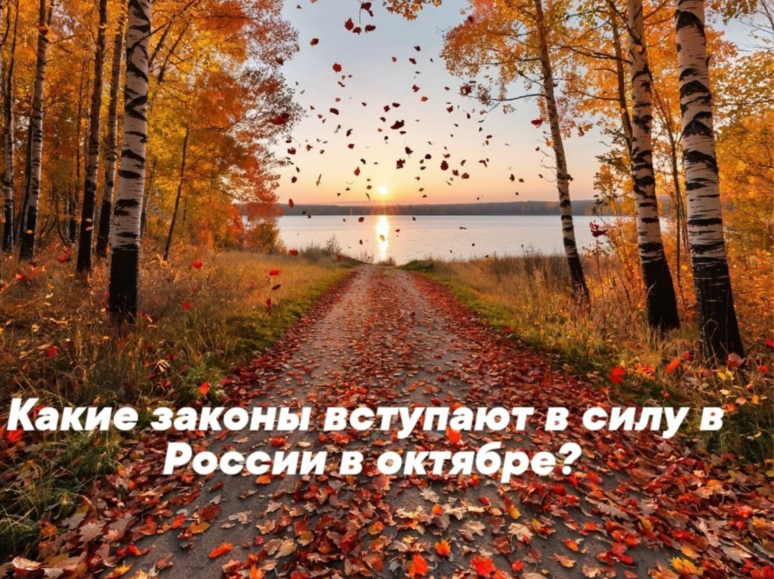 Новые законы октября 2026 года